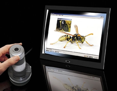 carson-usb-microscope.jpg