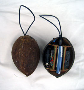 cocos-inteligentes.jpg