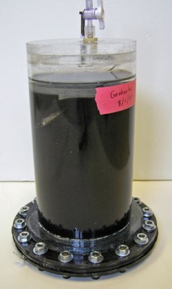 bacteria-bateria.jpg
