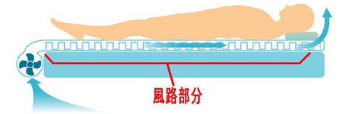camaventilada_01.jpg