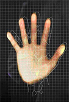 palmsecure.jpg
