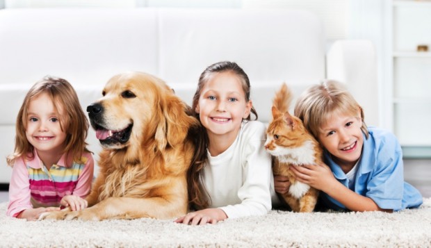 Captura de pantalla 2014-03-25 a la(s) 18.42.01